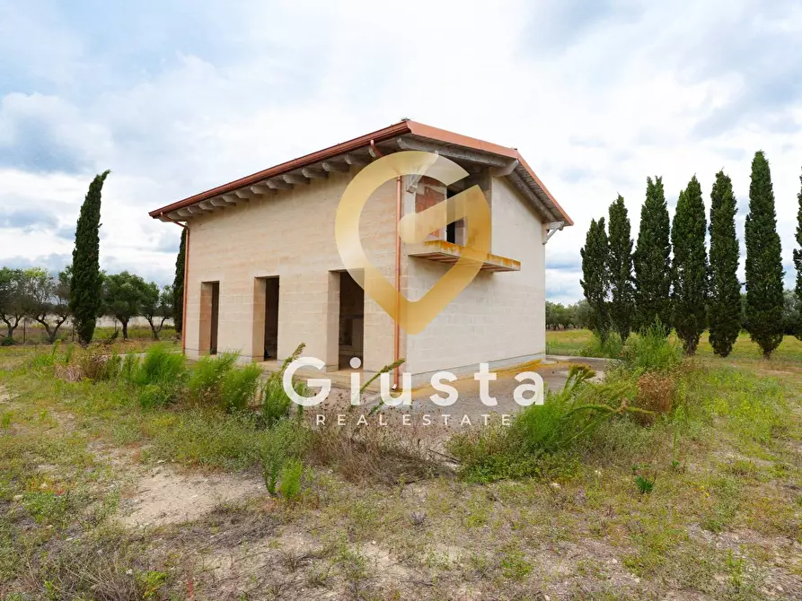 Immagine 4 di Villa in vendita  in via vittorio emanuele III a San Pancrazio Salentino