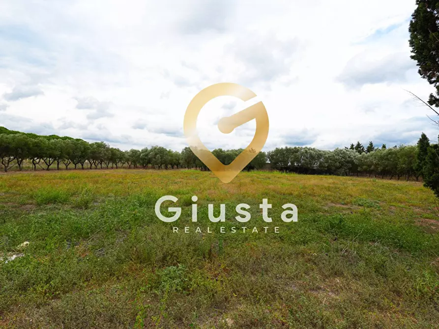 Immagine 10 di Villa in vendita  in via vittorio emanuele III a San Pancrazio Salentino