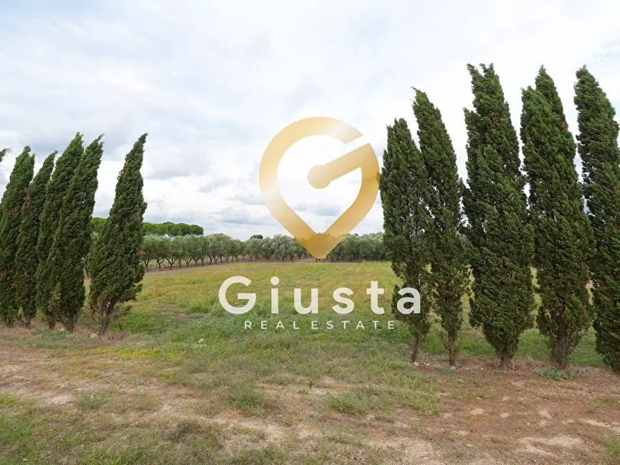 Immagine 11 di Villa in vendita  in via vittorio emanuele III a San Pancrazio Salentino