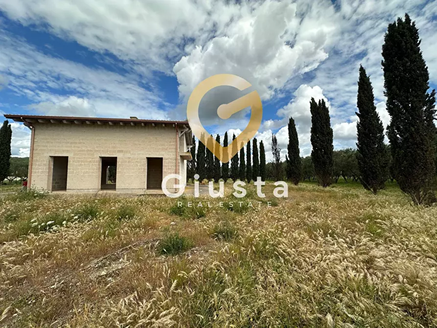 Immagine 8 di Villa in vendita  in via vittorio emanuele III a San Pancrazio Salentino