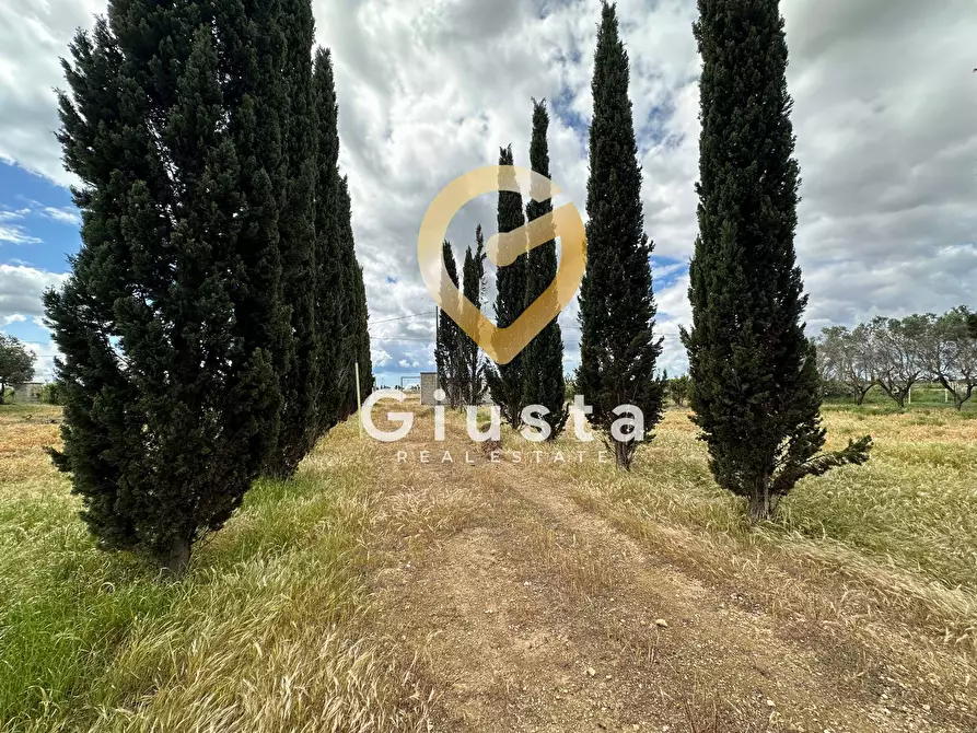 Immagine 9 di Villa in vendita  in via vittorio emanuele III a San Pancrazio Salentino