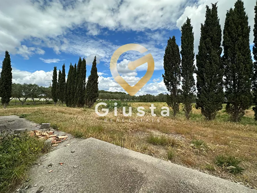 Immagine 14 di Villa in vendita  in via vittorio emanuele III a San Pancrazio Salentino