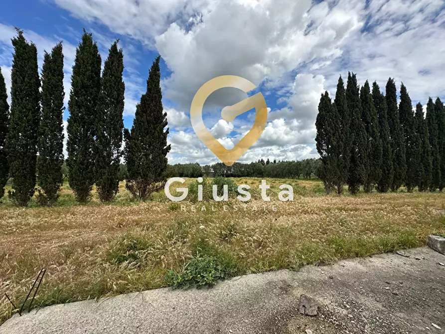 Immagine 13 di Villa in vendita  in via vittorio emanuele III a San Pancrazio Salentino