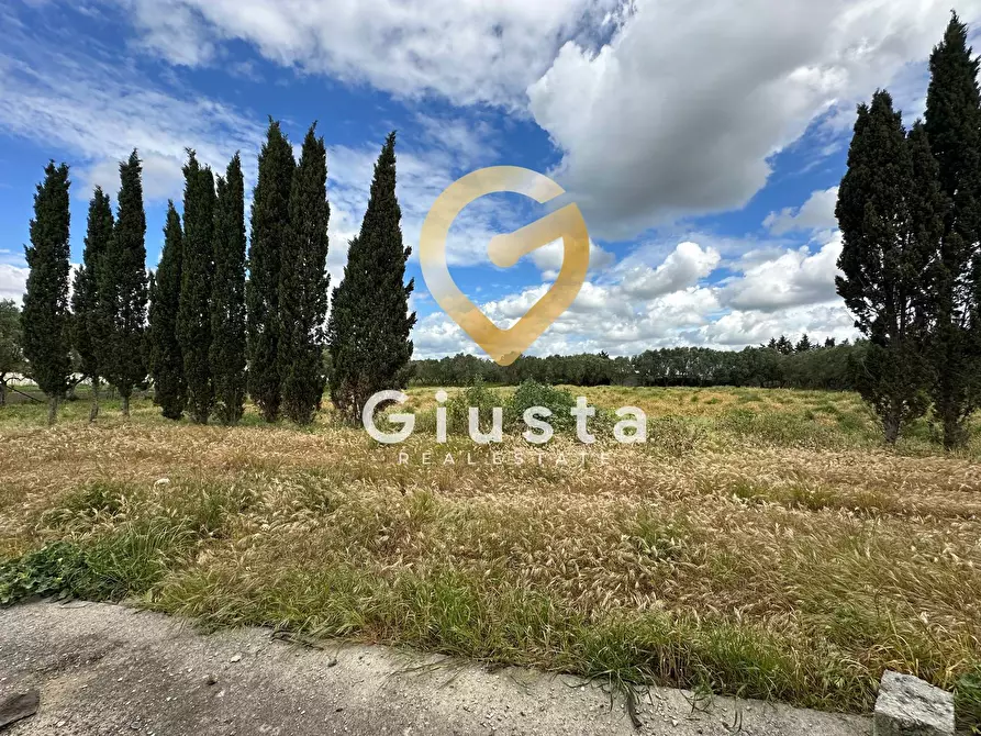 Immagine 12 di Villa in vendita  in via vittorio emanuele III a San Pancrazio Salentino