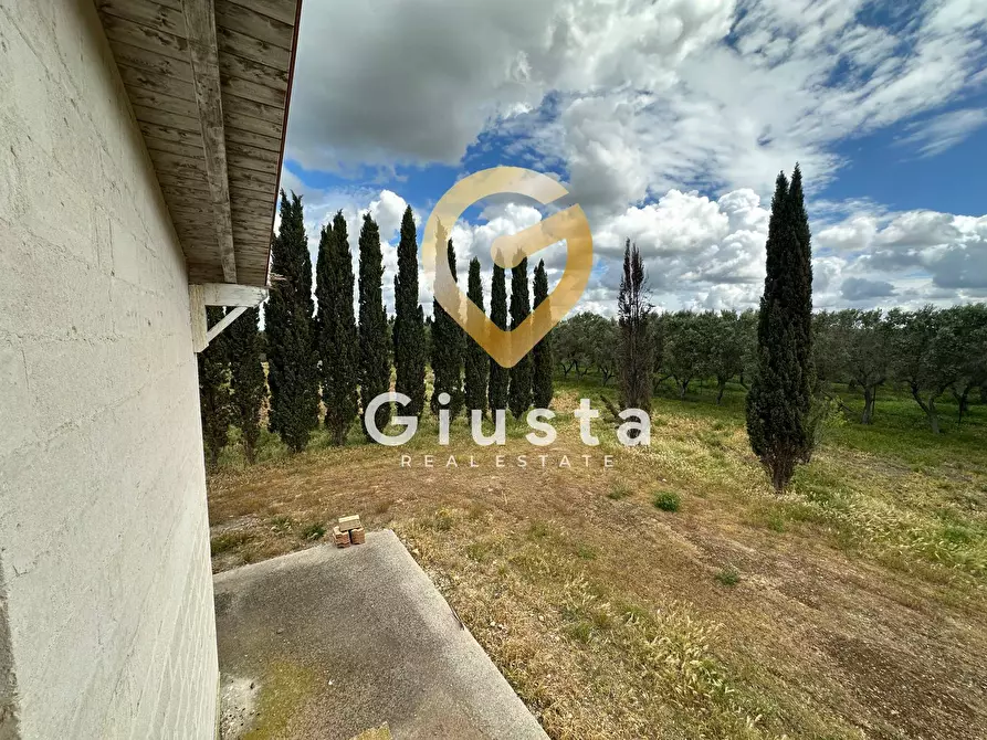 Immagine 37 di Villa in vendita  in via vittorio emanuele III a San Pancrazio Salentino