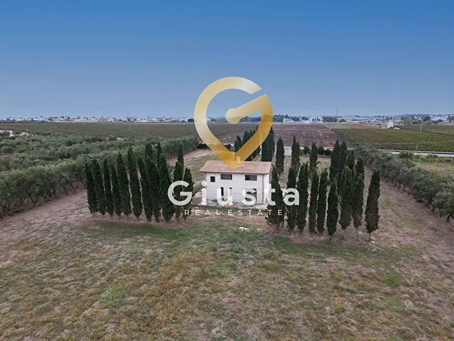 Immagine 2 di Villa in vendita  in via vittorio emanuele III a San Pancrazio Salentino