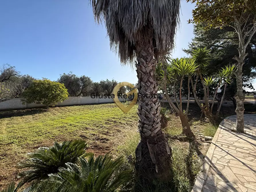 Immagine 21 di Villa in vendita  in CDA EPISCOPANA a Oria