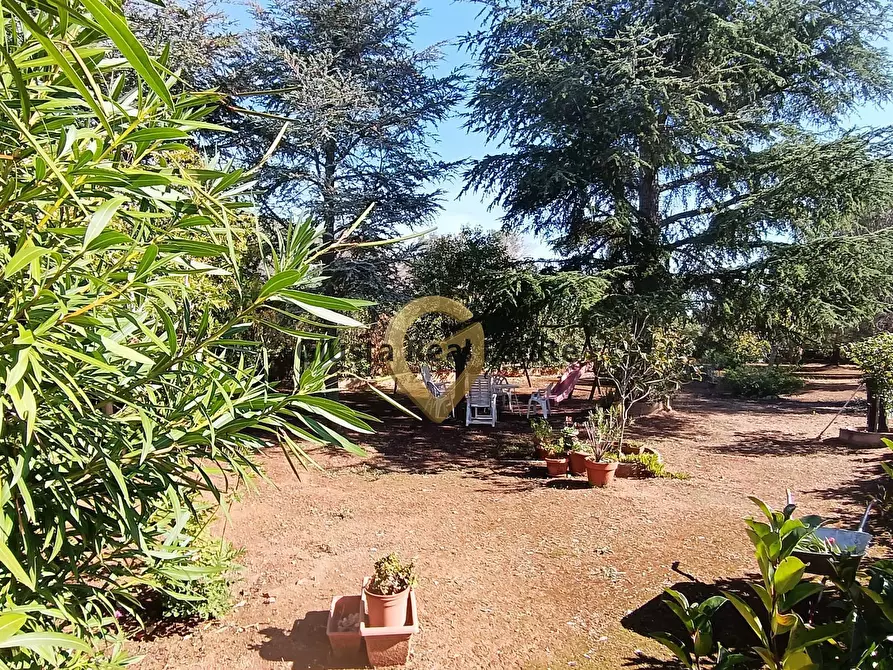 Immagine 4 di Villa in vendita  in Contrada Pagliamonte Via Lombardia SNC a San Vito Dei Normanni