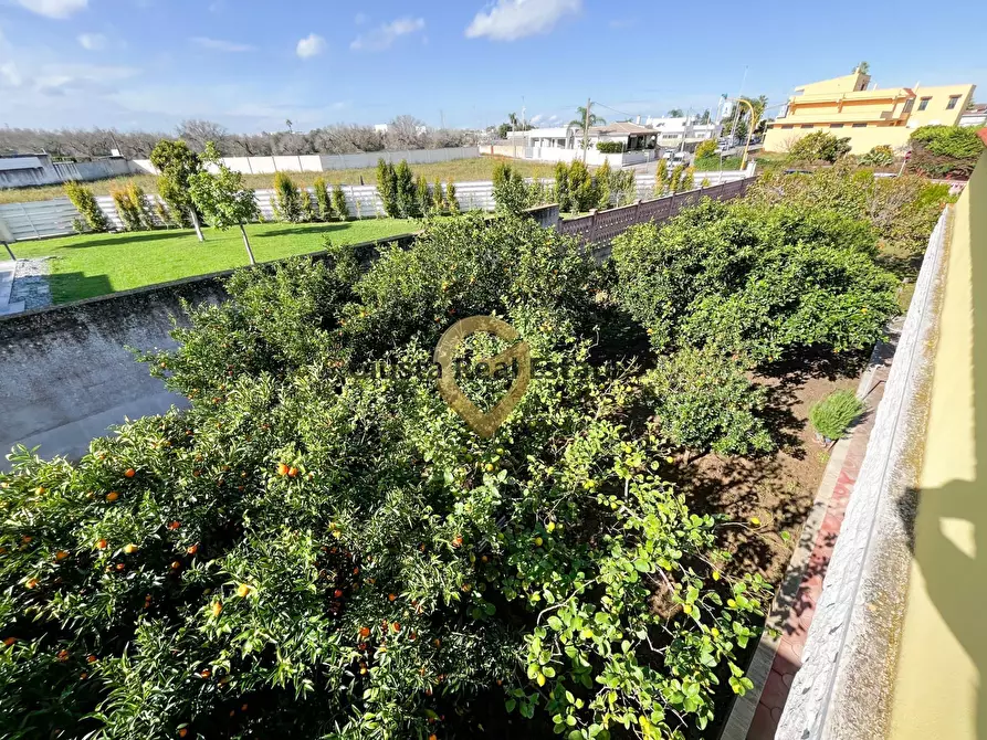 Immagine 35 di Villa in vendita  in Via Papa Giovanni XXIII a San Pietro Vernotico