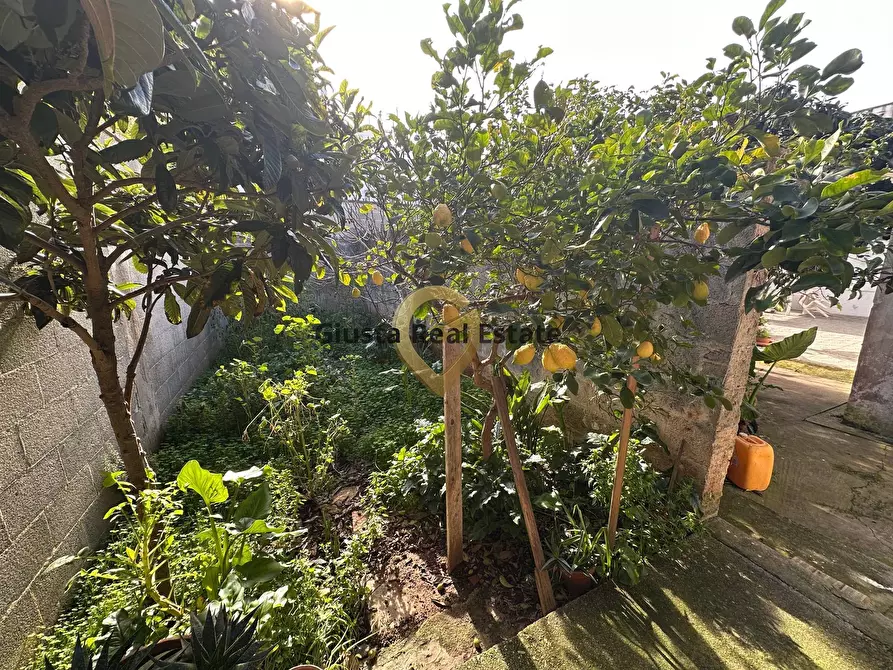 Immagine 25 di Casa indipendente in vendita  in Via Lecce 237 a San Pietro Vernotico