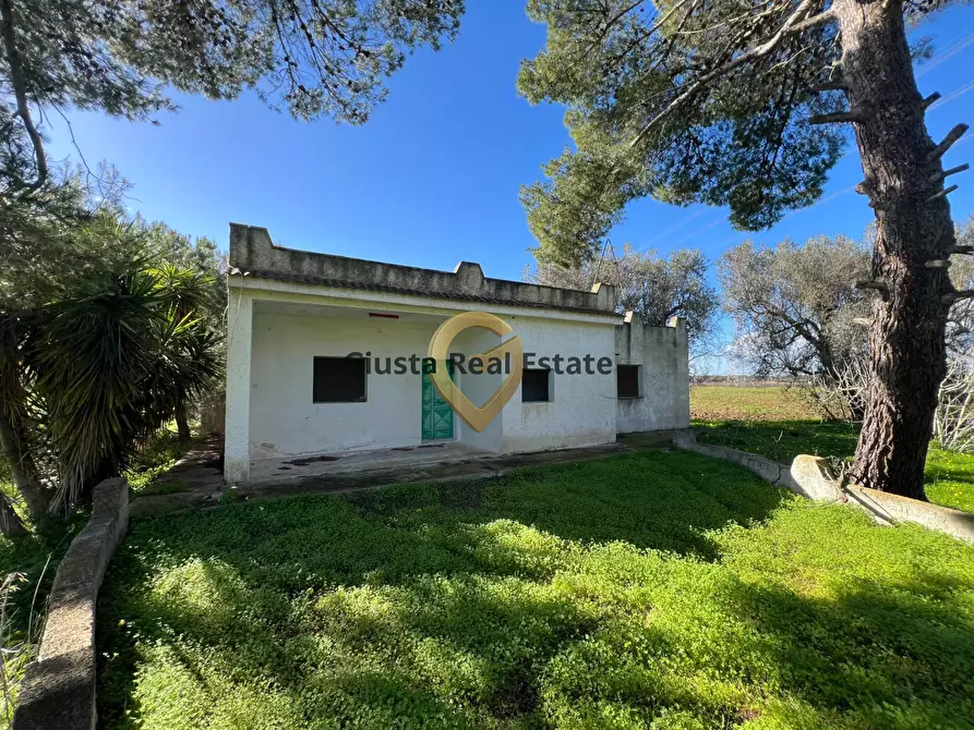 Immagine 1 di Villa in vendita  in Contrada Orfani a Mesagne