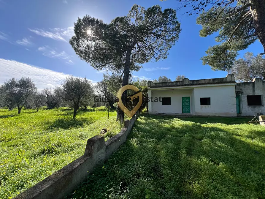 Immagine 2 di Villa in vendita  in Contrada Orfani a Mesagne