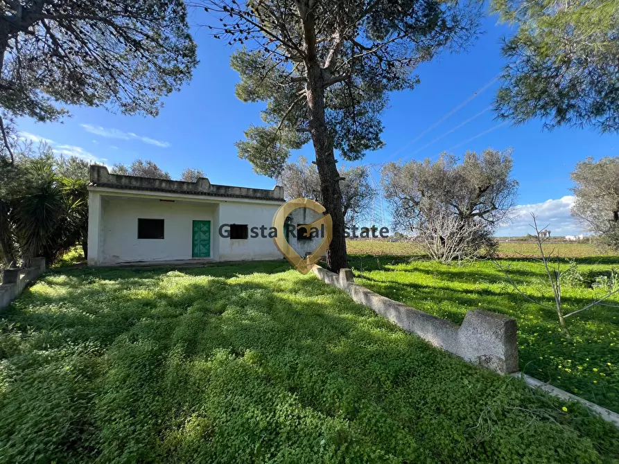Immagine 3 di Villa in vendita  in Contrada Orfani a Mesagne