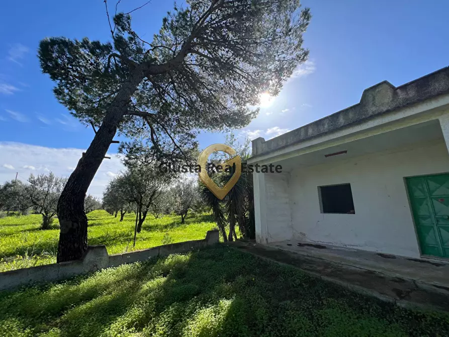 Immagine 13 di Villa in vendita  in Contrada Orfani a Mesagne
