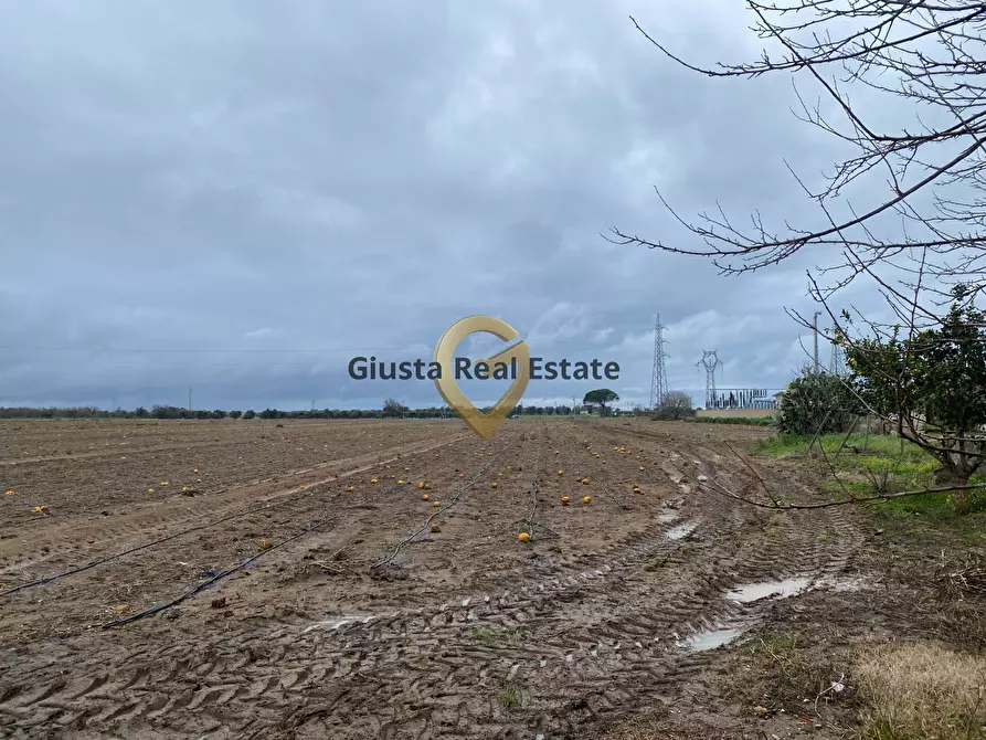 Immagine 16 di Rustico / casale in vendita  in Strada Colemi 57 a Cellino San Marco