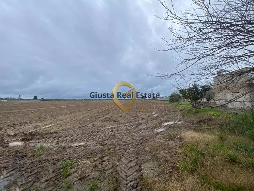 Immagine 14 di Rustico / casale in vendita  in Strada Colemi 57 a Cellino San Marco