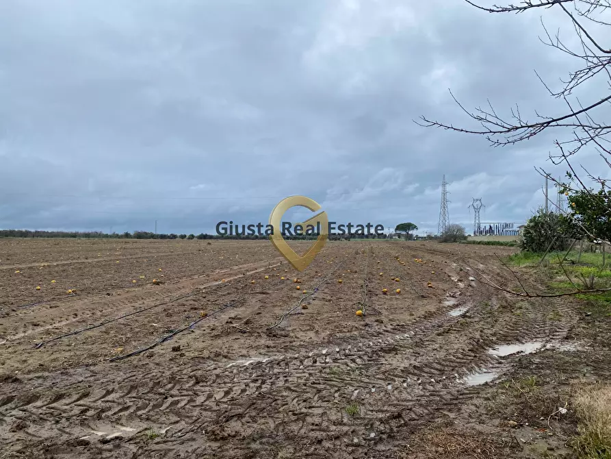 Immagine 15 di Rustico / casale in vendita  in Strada Colemi 57 a Cellino San Marco