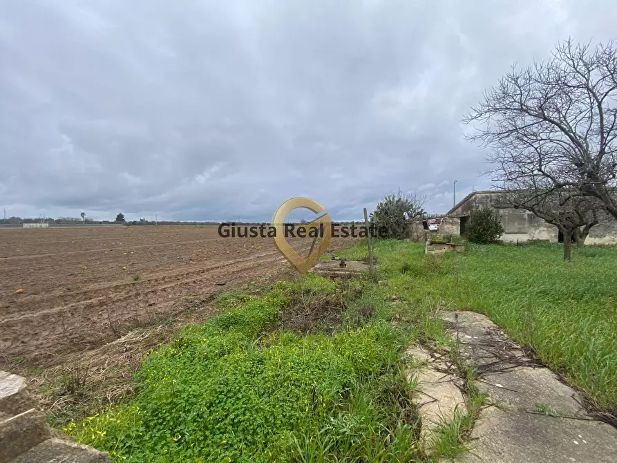 Immagine 11 di Rustico / casale in vendita  in Strada Colemi 57 a Cellino San Marco