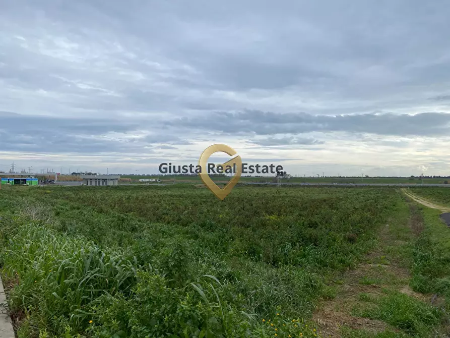 Immagine 1 di Terreno agricolo in vendita  in contrada Taverna sn a Brindisi