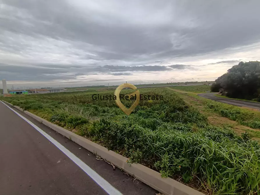 Immagine 5 di Terreno agricolo in vendita  in contrada Taverna sn a Brindisi