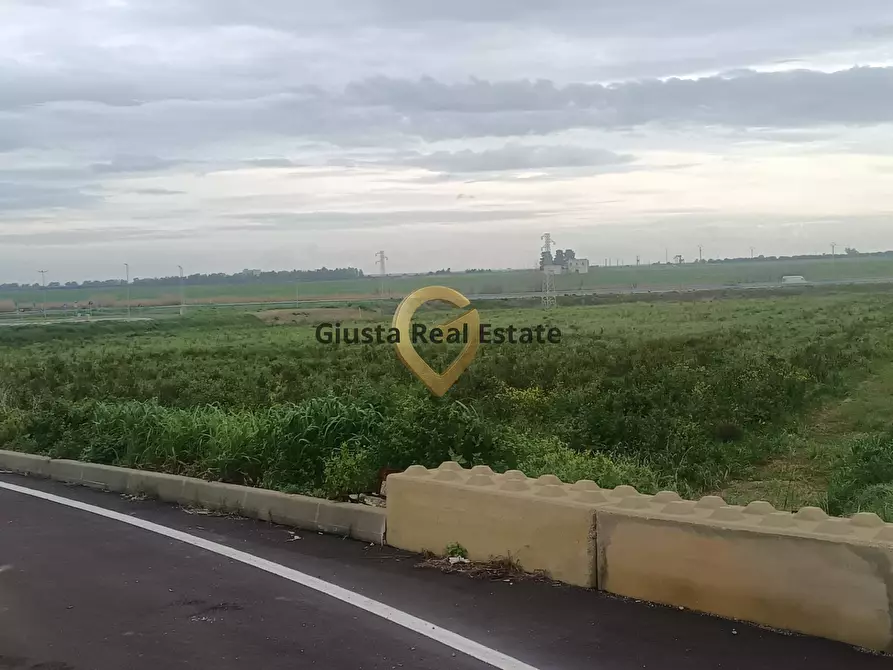 Immagine 8 di Terreno agricolo in vendita  in contrada Taverna sn a Brindisi