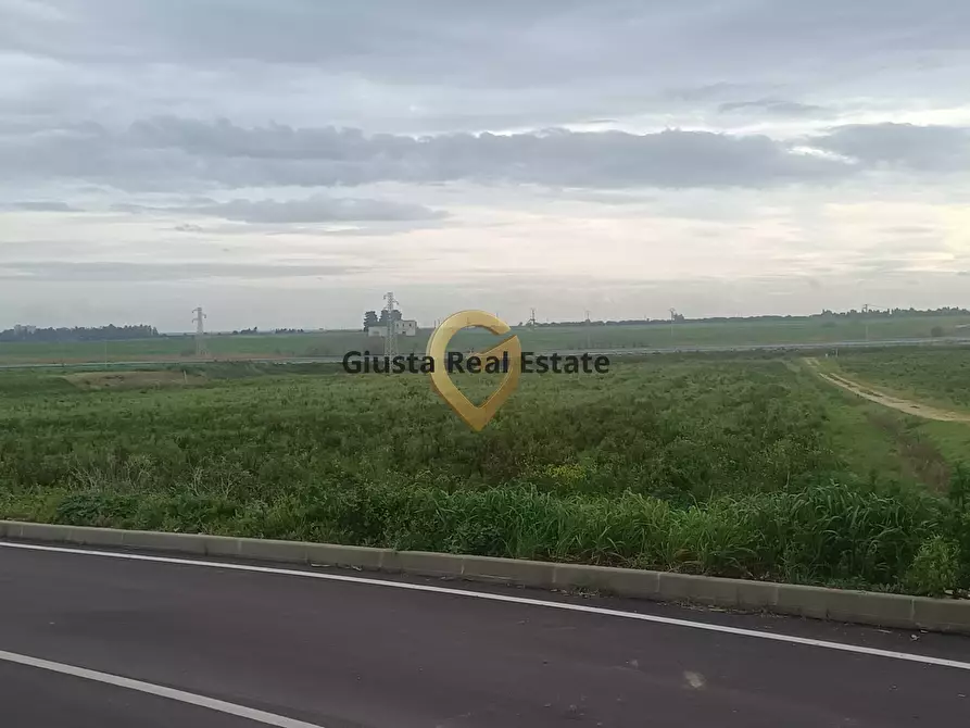 Immagine 10 di Terreno agricolo in vendita  in contrada Taverna sn a Brindisi