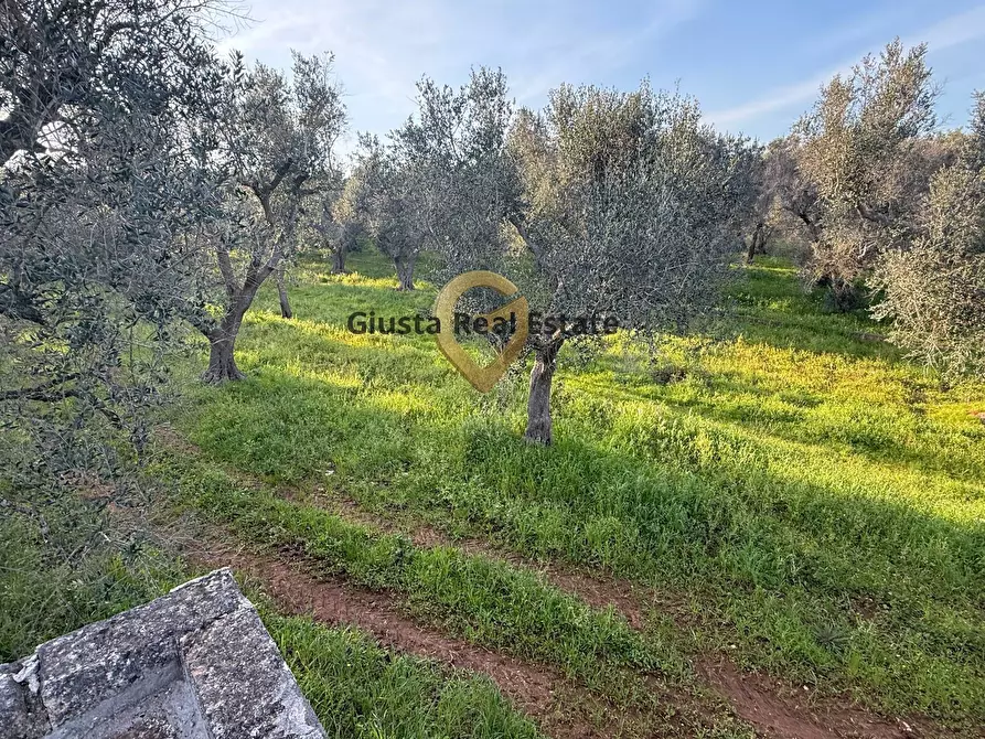 Immagine 7 di Villa in vendita  in contrada specchia 3 a Latiano
