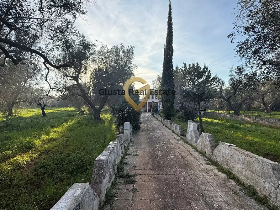 Immagine 6 di Villa in vendita  in contrada specchia 3 a Latiano