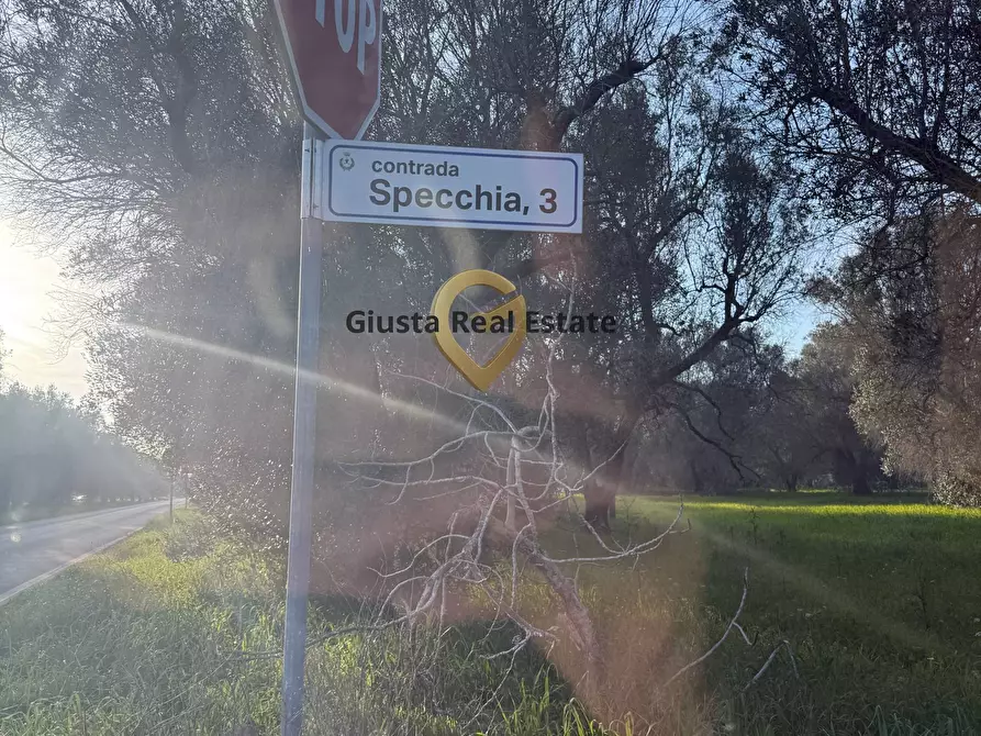 Immagine 18 di Villa in vendita  in contrada specchia 3 a Latiano