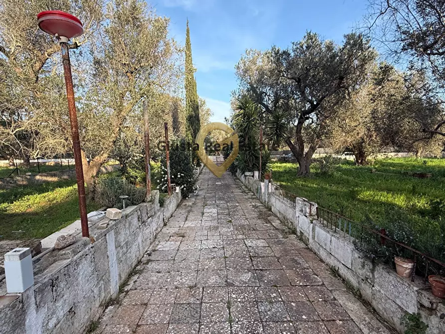 Immagine 9 di Villa in vendita  in contrada specchia 3 a Latiano