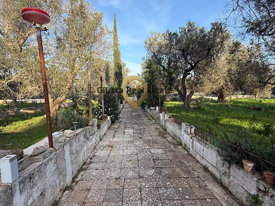 Immagine 10 di Villa in vendita  in contrada specchia 3 a Latiano