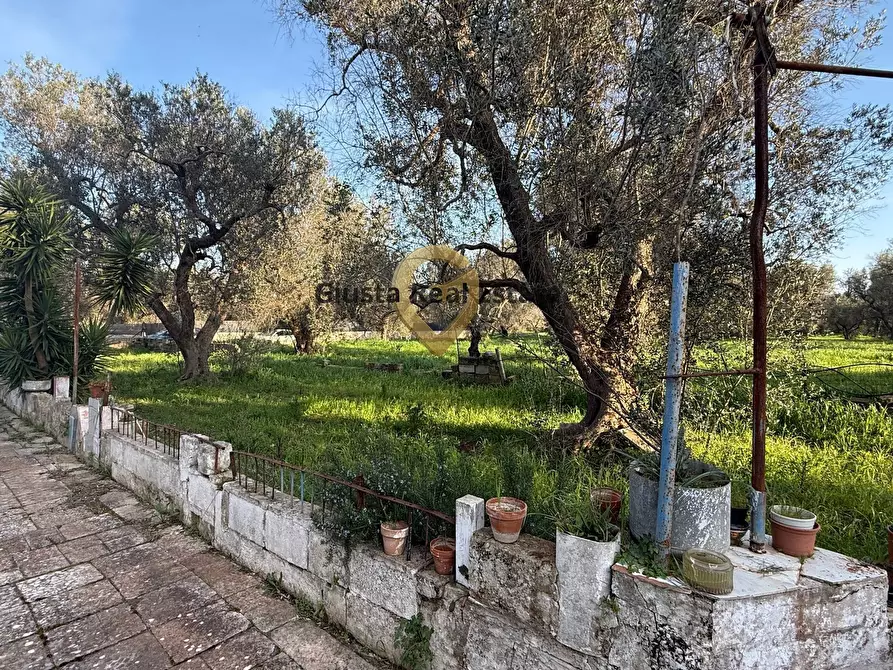 Immagine 11 di Villa in vendita  in contrada specchia 3 a Latiano