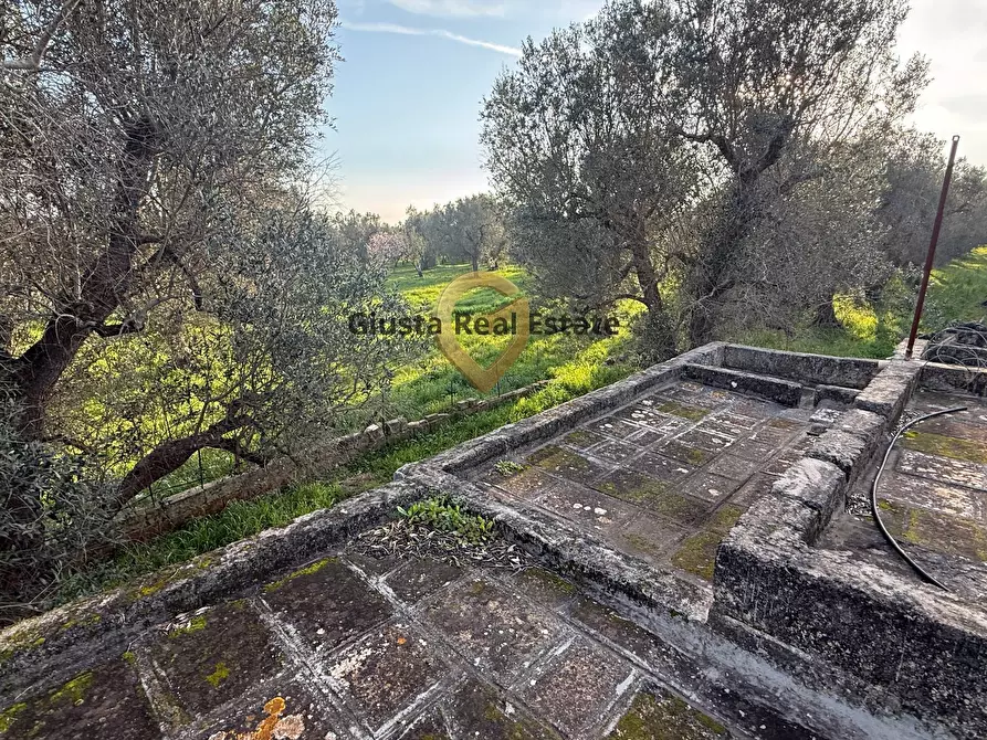 Immagine 19 di Villa in vendita  in contrada specchia 3 a Latiano