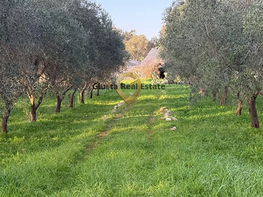 Immagine 2 di Appartamento in vendita  in Contrada Sardella a San Michele Salentino