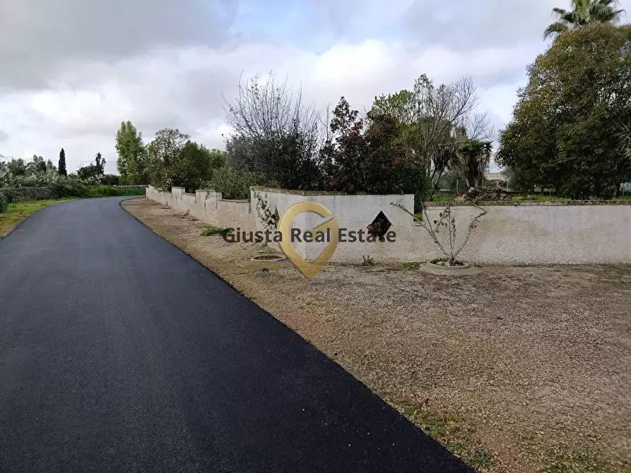 Immagine 2 di Terreno agricolo in vendita  in Contrada Santa Caterina sn a San Vito Dei Normanni