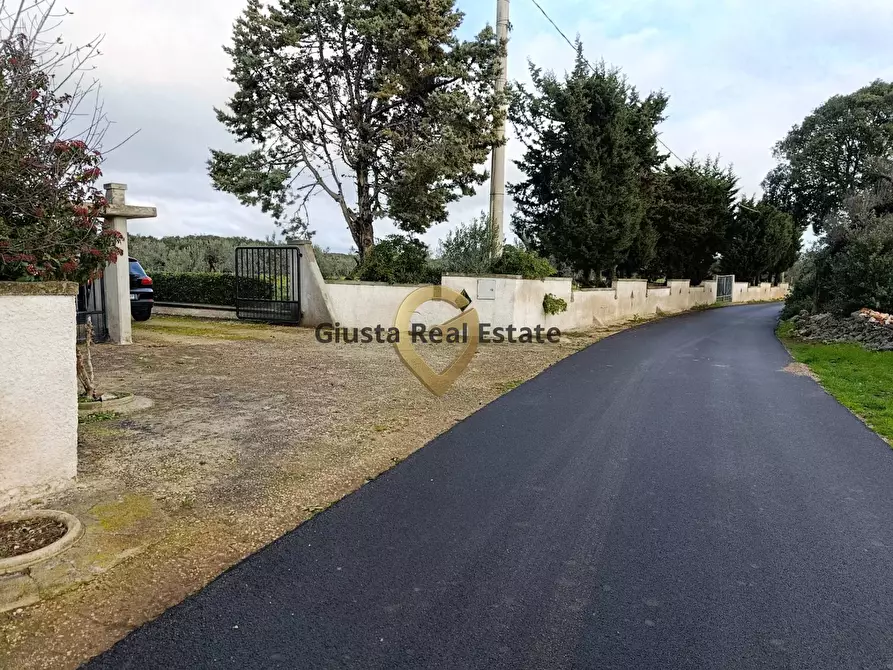Immagine 3 di Terreno agricolo in vendita  in Contrada Santa Caterina sn a San Vito Dei Normanni