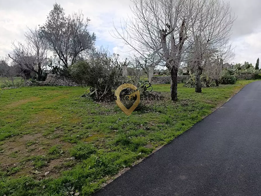 Immagine 4 di Terreno agricolo in vendita  in Contrada Santa Caterina sn a San Vito Dei Normanni