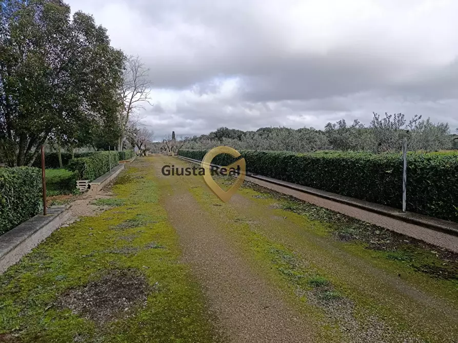 Immagine 5 di Terreno agricolo in vendita  in Contrada Santa Caterina sn a San Vito Dei Normanni