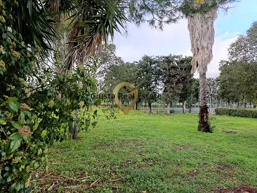 Immagine 6 di Terreno agricolo in vendita  in Contrada Santa Caterina sn a San Vito Dei Normanni