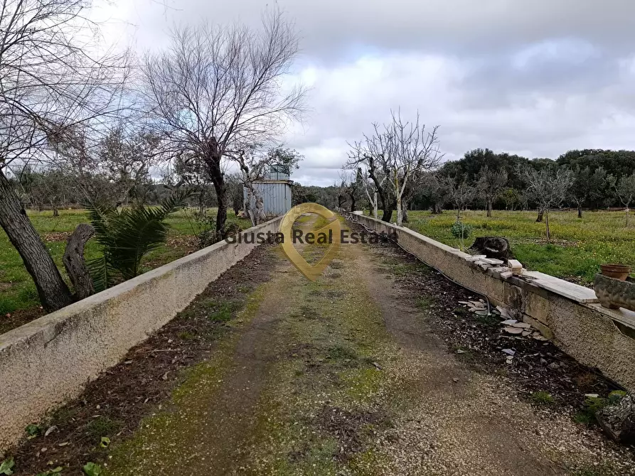 Immagine 10 di Terreno agricolo in vendita  in Contrada Santa Caterina sn a San Vito Dei Normanni