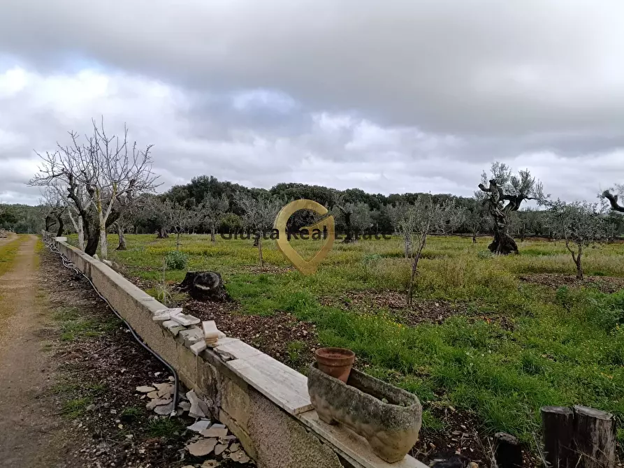 Immagine 11 di Terreno agricolo in vendita  in Contrada Santa Caterina sn a San Vito Dei Normanni