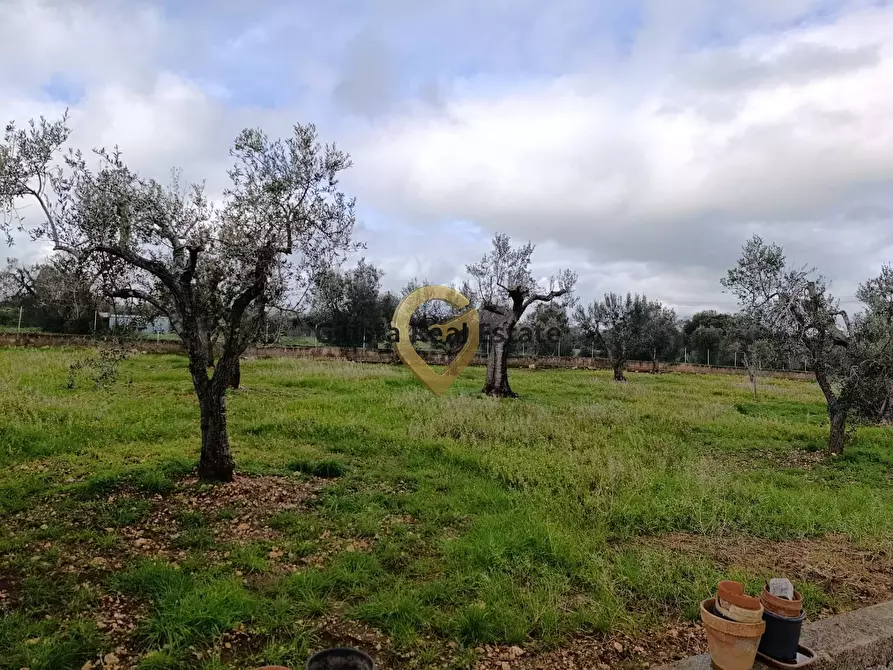 Immagine 12 di Terreno agricolo in vendita  in Contrada Santa Caterina sn a San Vito Dei Normanni