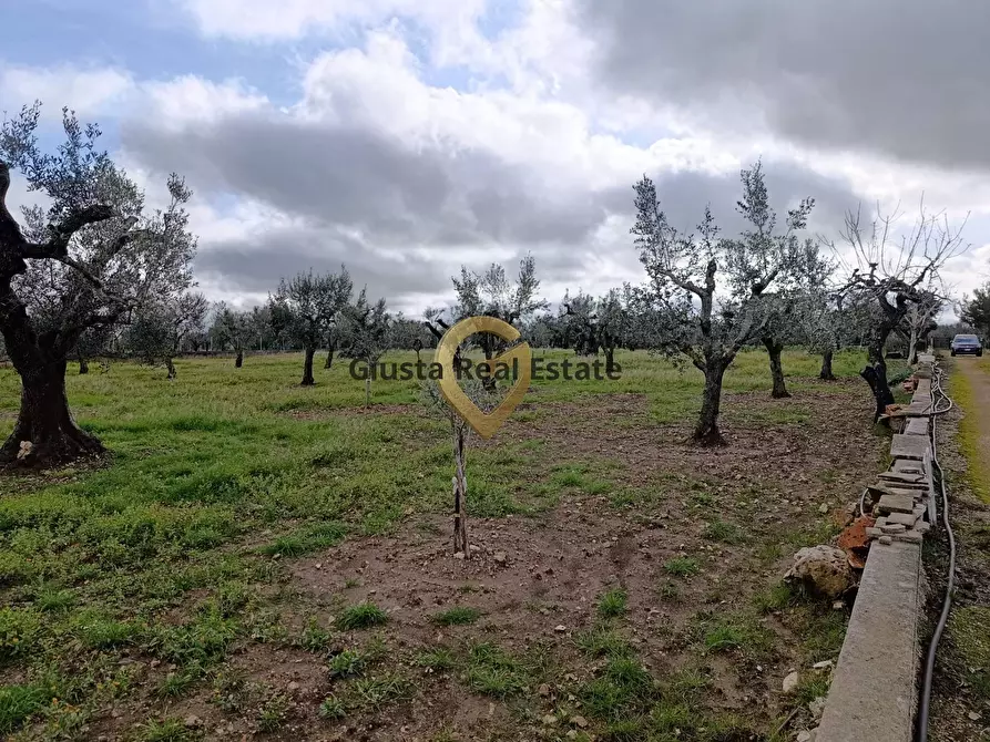 Immagine 13 di Terreno agricolo in vendita  in Contrada Santa Caterina sn a San Vito Dei Normanni