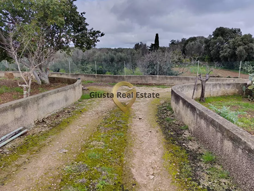 Immagine 14 di Terreno agricolo in vendita  in Contrada Santa Caterina sn a San Vito Dei Normanni