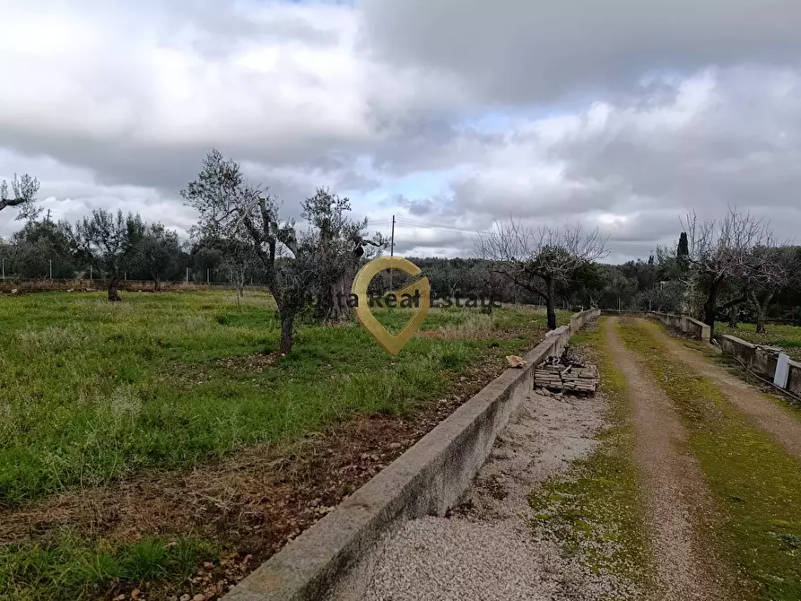 Immagine 16 di Terreno agricolo in vendita  in Contrada Santa Caterina sn a San Vito Dei Normanni