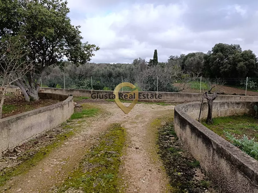 Immagine 18 di Terreno agricolo in vendita  in Contrada Santa Caterina sn a San Vito Dei Normanni