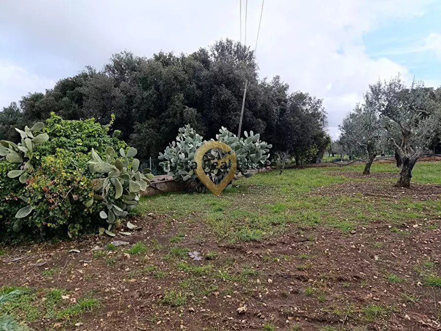 Immagine 19 di Terreno agricolo in vendita  in Contrada Santa Caterina sn a San Vito Dei Normanni