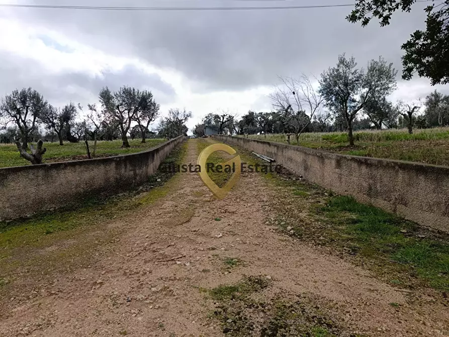 Immagine 20 di Terreno agricolo in vendita  in Contrada Santa Caterina sn a San Vito Dei Normanni
