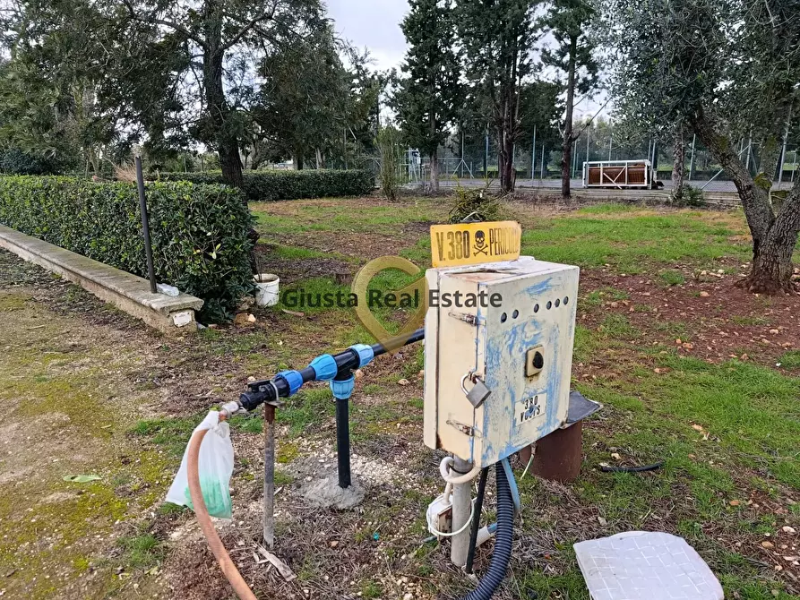 Immagine 21 di Terreno agricolo in vendita  in Contrada Santa Caterina sn a San Vito Dei Normanni