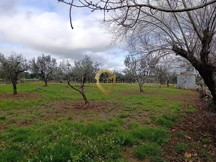 Immagine 22 di Terreno agricolo in vendita  in Contrada Santa Caterina sn a San Vito Dei Normanni